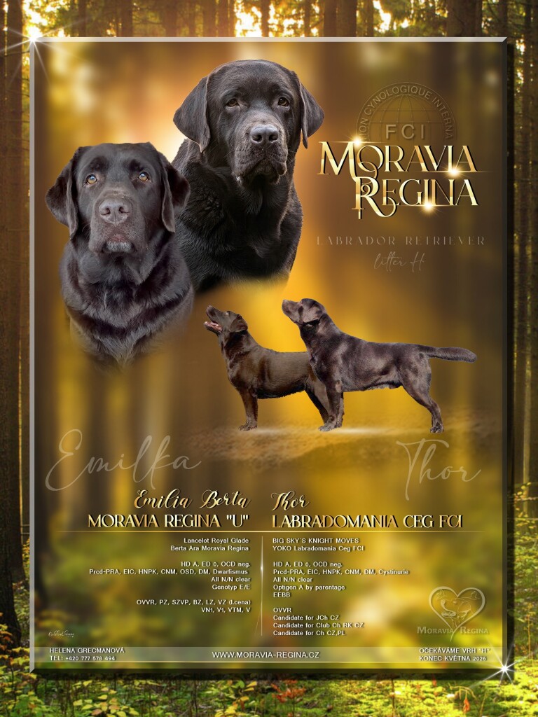 Emilka letak finalni