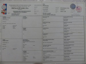 P1090410