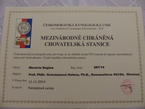 P1090414