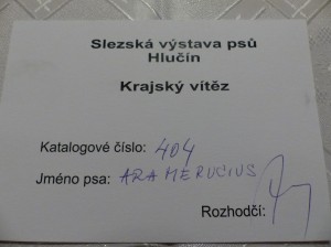 P1090424